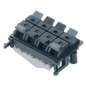 wp8-815b