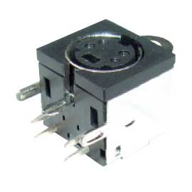 dsw-4-21